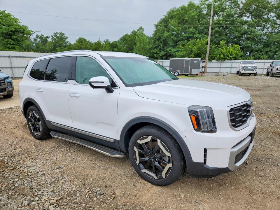 Продаж на аукціоні авто 2024 Kia Telluride, vin: 5XYP6DGC1RG483476, номер лоту: 61366656