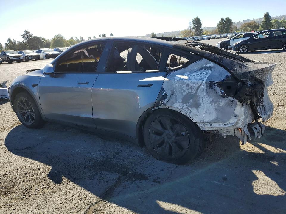 Продажа на аукционе авто 2024 Tesla Model Y, vin: 7SAYGDEE4RF125868, номер лота: 61353846