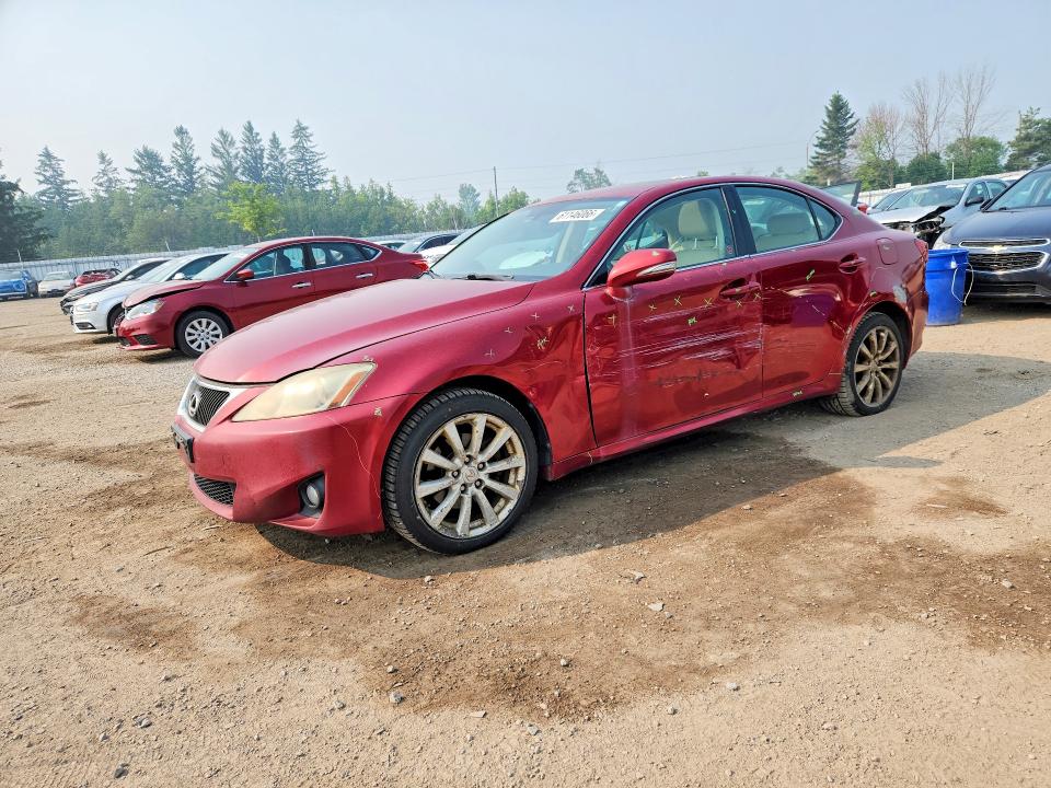 61146066 :رقم المزاد ، JTHCF5C27B5049027 vin ، 2011 Lexus Is مزاد بيع