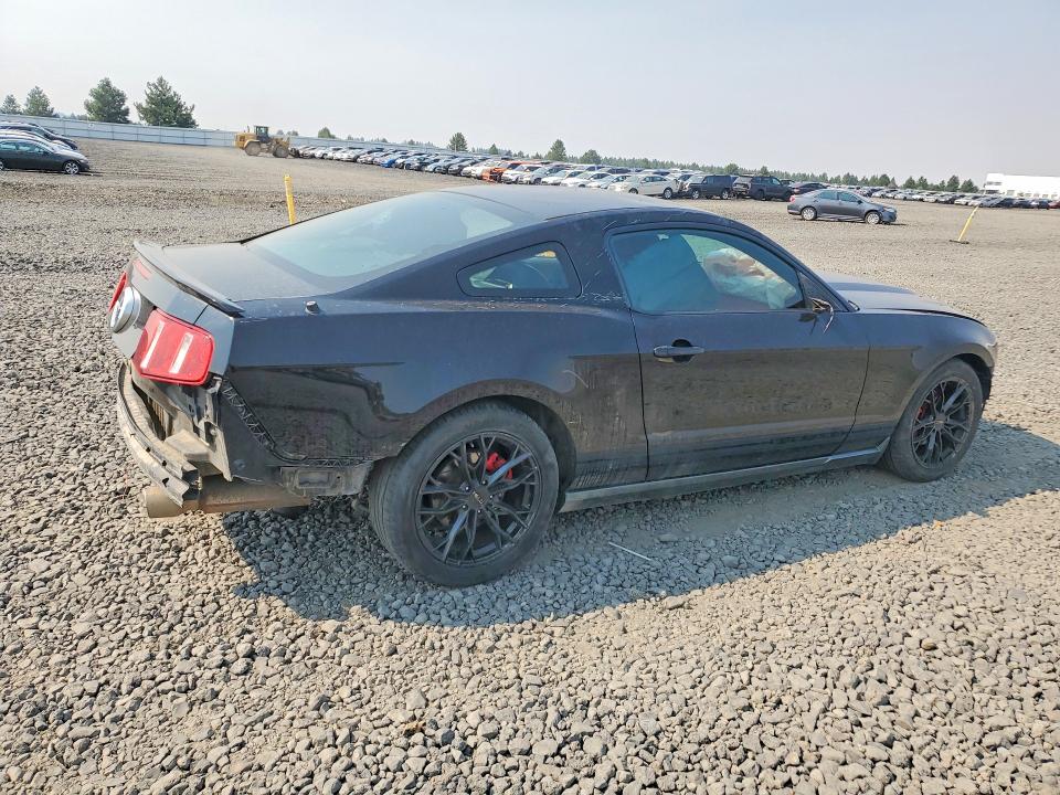62637736 :رقم المزاد ، 1ZVBP8AN9A5176396 vin ، 2010 Ford Mustang مزاد بيع
