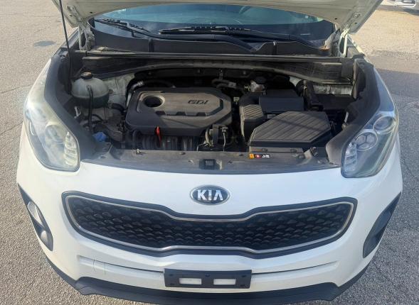 60530536 :رقم المزاد ، KNDPM3AC8K7623258 vin ، 2019 Kia Sportage مزاد بيع