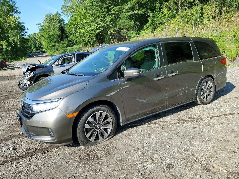 Auction sale of the 2022 Honda Odyssey, vin: 5FNRL6H74NB021722, lot number: 60389436