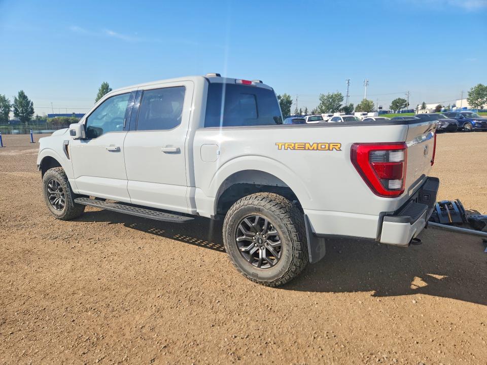 Продажа на аукционе авто 2023 Ford F150, vin: 1FTEW1E8XPFC95981, номер лота: 60581866