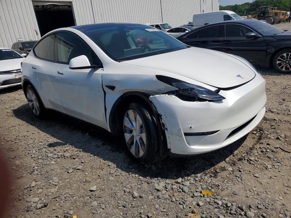 Продаж на аукціоні авто 2024 Tesla Model Y, vin: 7SAYGDEDXRF084220, номер лоту: 57954046