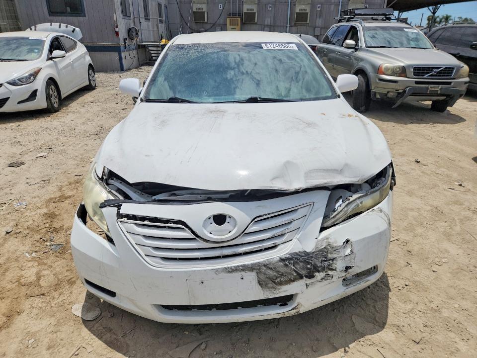 61246506 :رقم المزاد ، 4T4BE46K99R049358 vin ، 2009 Toyota Camry مزاد بيع
