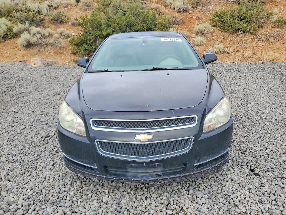 2008 Chevrolet Malibu მანქანა იყიდება აუქციონზე, vin: 1G1ZG57B08F195235, აუქციონის ნომერი: 60129836
