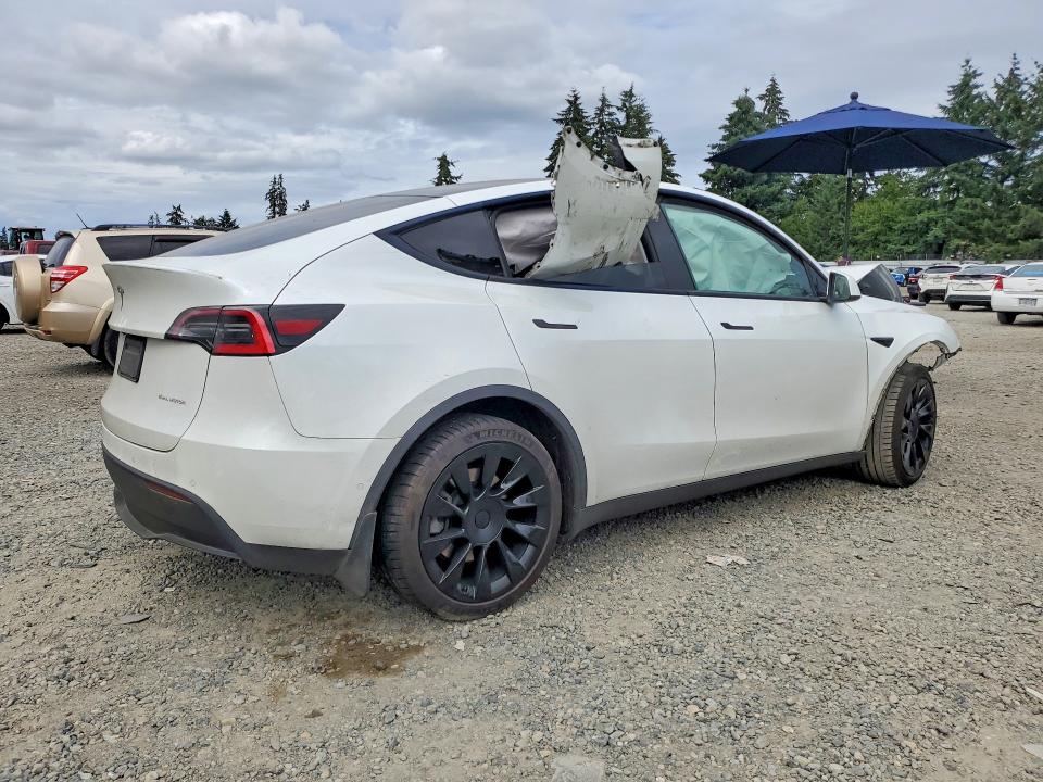 59297956 :رقم المزاد ، 5YJYGDEE9MF098009 vin ، 2021 Tesla Model  Y مزاد بيع