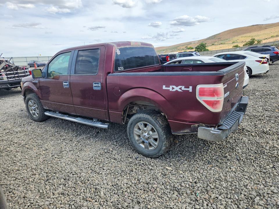 59020976 :رقم المزاد ، 1FTFW1EV5AKC19867 vin ، 2010 Ford F150 مزاد بيع
