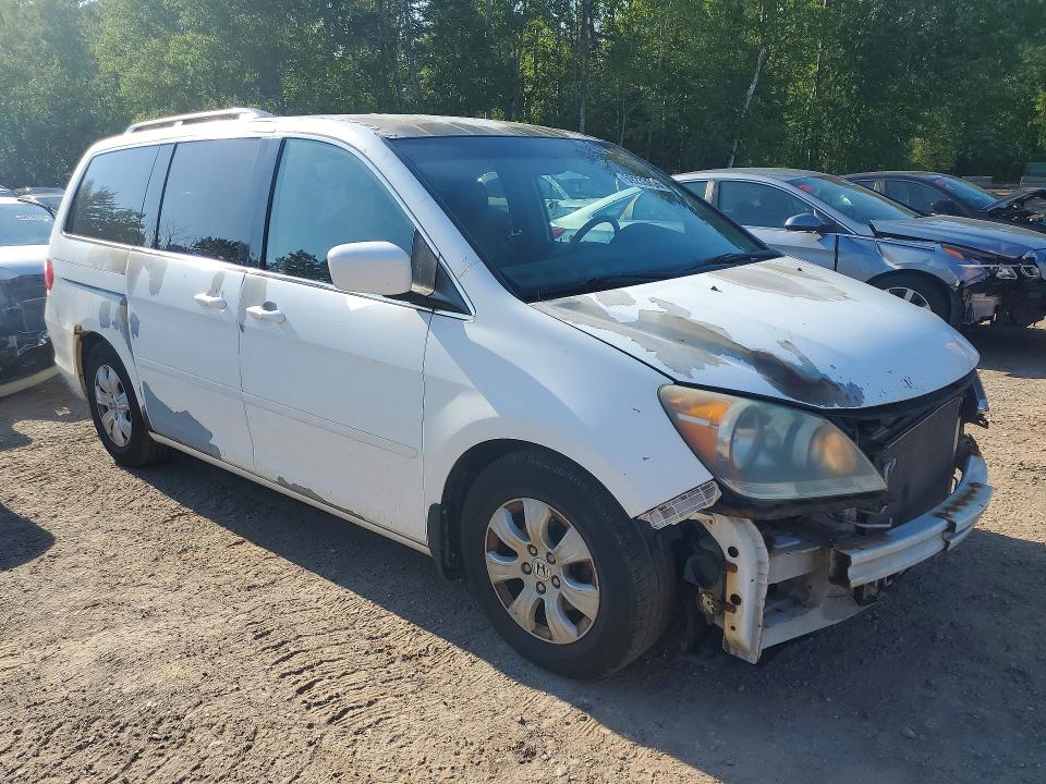 2008 Honda Odyssey მანქანა იყიდება აუქციონზე, vin: 5FNRL384X8B505970, აუქციონის ნომერი: 59233606