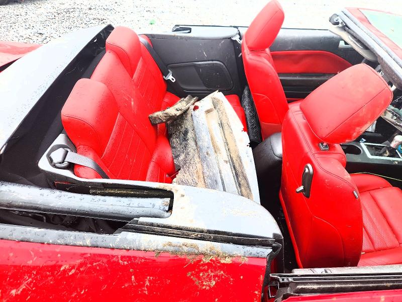 63571356 :رقم المزاد ، 1ZVHT85H775286981 vin ، 2007 Ford Mustang مزاد بيع