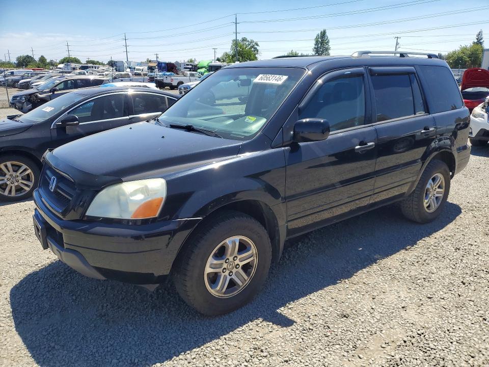 60563146 :رقم المزاد ، 2HKYF18515H555850 vin ، 2005 Honda Pilot مزاد بيع
