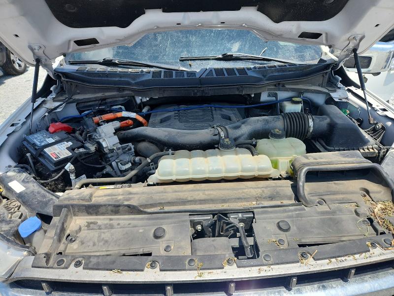 63489696 :رقم المزاد ، 1FTFW1ED3MFB06908 vin ، 2021 Ford F150 مزاد بيع