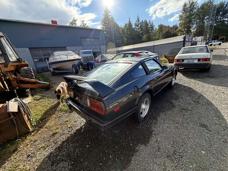 1982 Datsun 280zx მანქანა იყიდება აუქციონზე, vin: JN1CZ04S8CX623959, აუქციონის ნომერი: 61643236