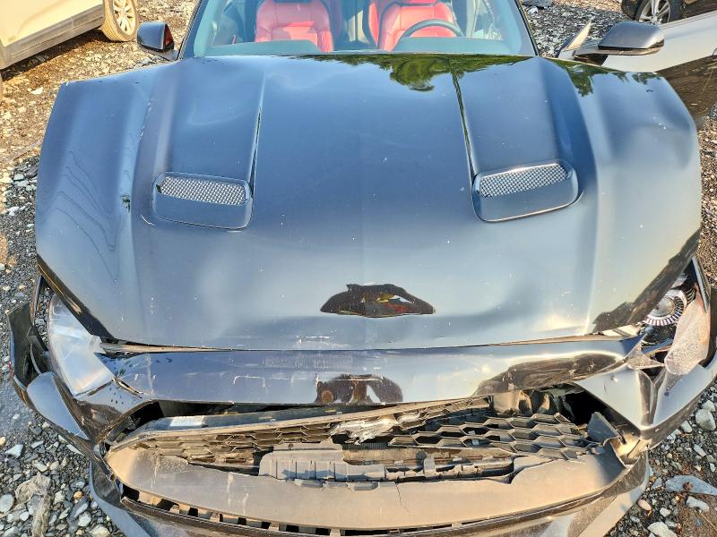 62667276 :رقم المزاد ، 1FA6P8TH2K5138043 vin ، 2019 Ford Mustang مزاد بيع