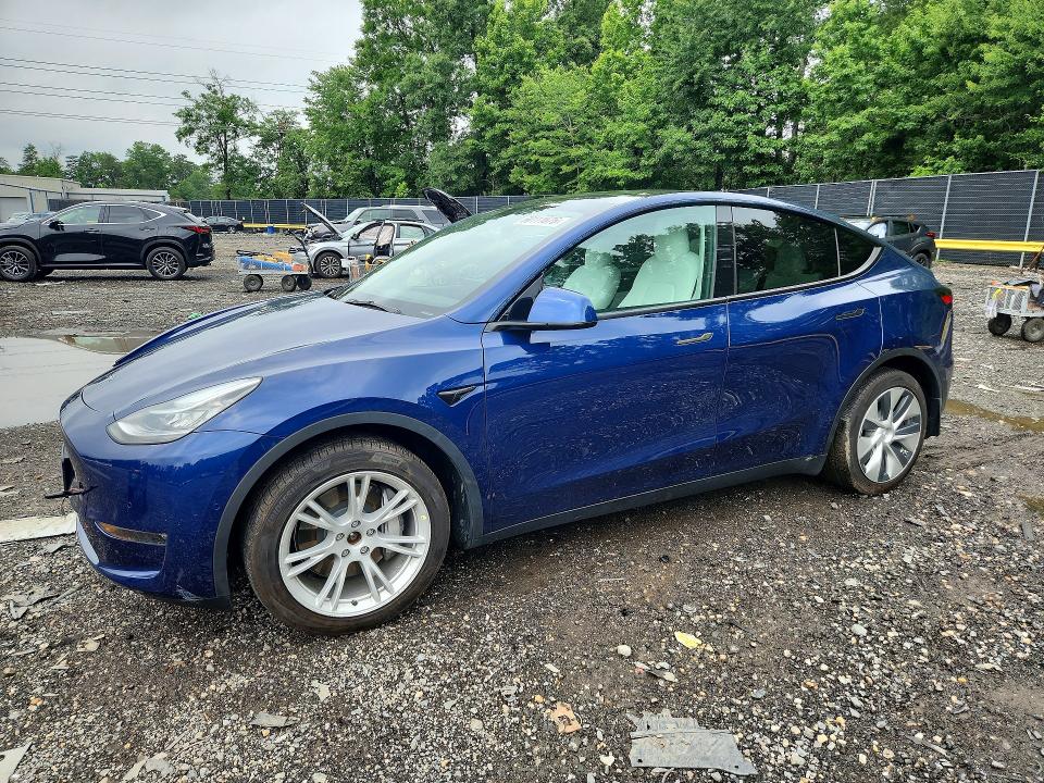 60111676 :رقم المزاد ، 5YJYGDEE3MF303680 vin ، 2021 Tesla Model Y مزاد بيع
