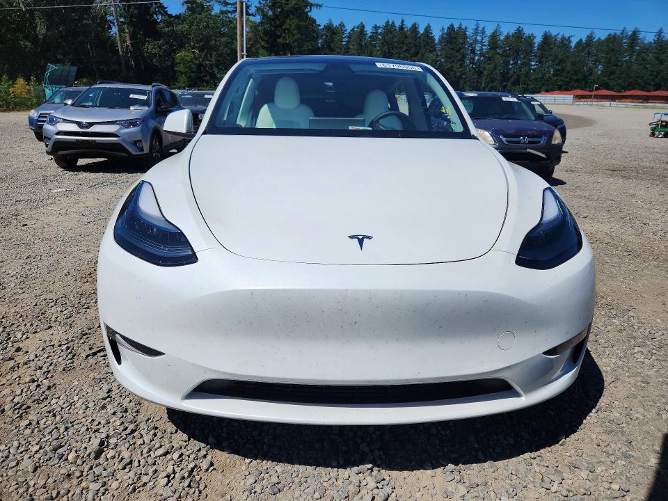 61796956 :رقم المزاد ، 7SAYGAEEXSF299383 vin ، 2025 Tesla Model Y مزاد بيع