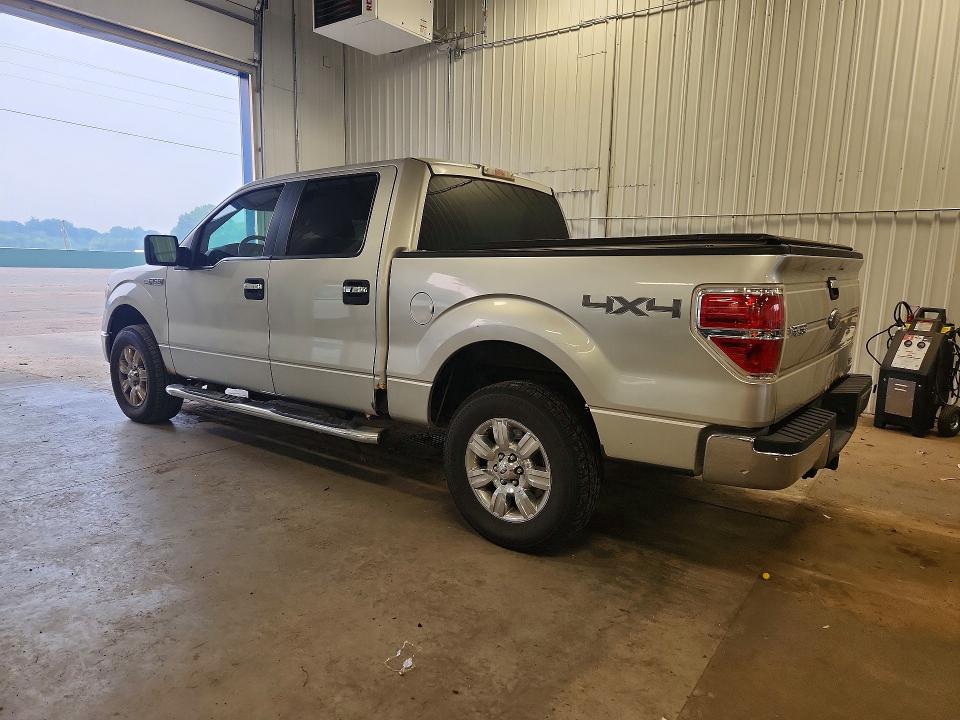 61435826 :رقم المزاد ، 1FTFW1EV2AFD56192 vin ، 2010 Ford F150 مزاد بيع