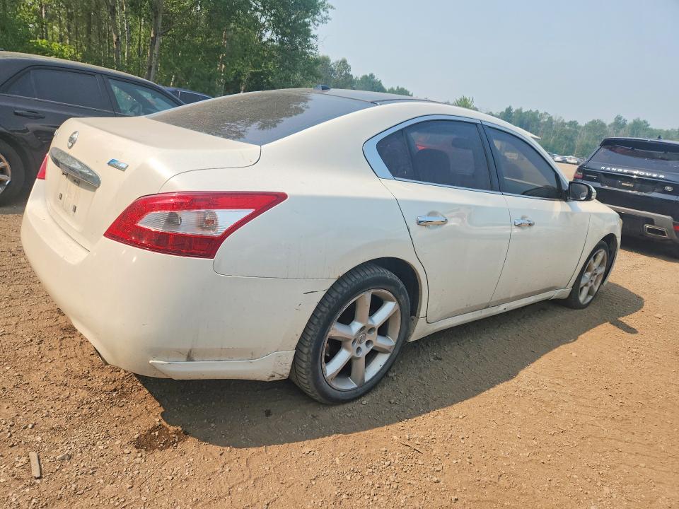 60590376 :رقم المزاد ، 1N4AA5AP4AC851069 vin ، 2010 Nissan Maxima مزاد بيع
