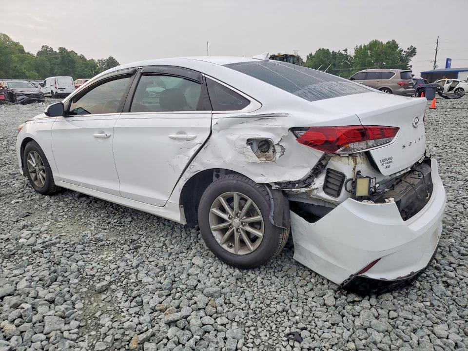 Продаж на аукціоні авто 2019 Hyundai Sonata, vin: 5NPE24AF2KH739709, номер лоту: 62916366