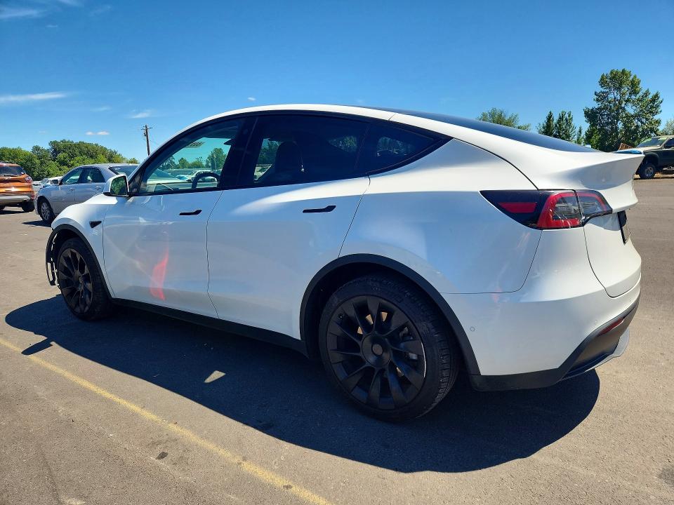60512686 :رقم المزاد ، 7SAYGDEE8NF558491 vin ، 2022 Tesla Model Y مزاد بيع