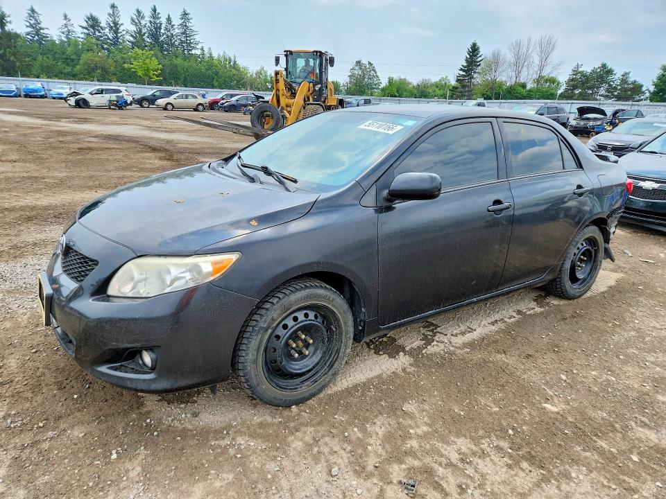 55110166 :رقم المزاد ، 2T1BU40EX9C087702 vin ، 2009 Toyota Corolla مزاد بيع