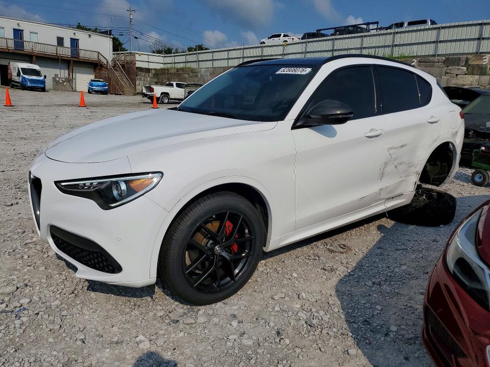 Продаж на аукціоні авто 2020 Alfa Romeo Stelvio, vin: ZASPAKAN7L7C74672, номер лоту: 62808076