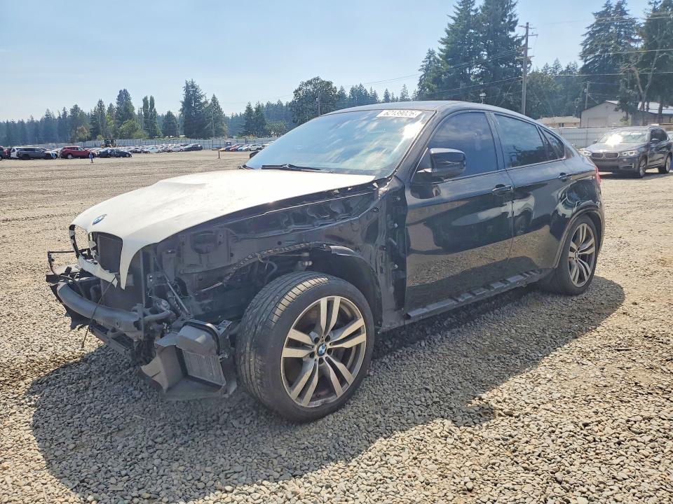 Auction sale of the 2011 Bmw X6, vin: 5YMGZ0C5XBLK14062, lot number: 62139026