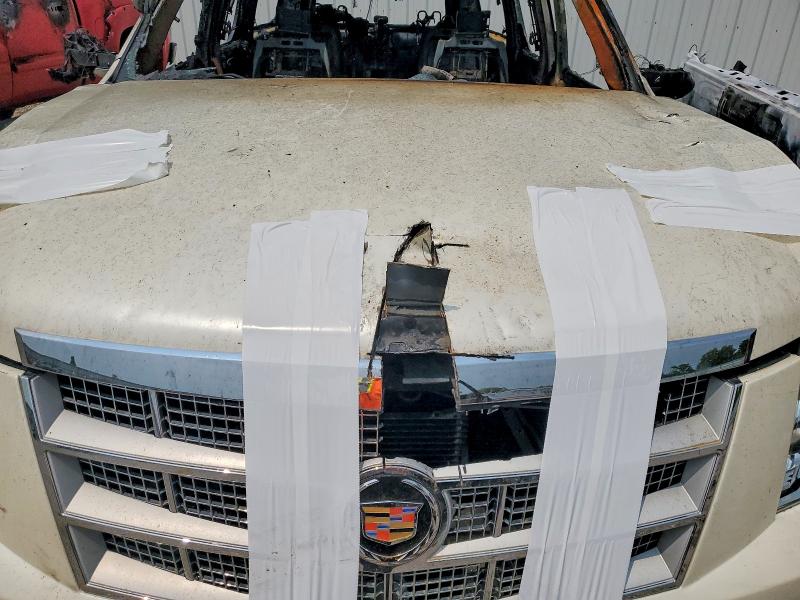 Продаж на аукціоні авто 2010 Cadillac Escalade, vin: 1GYUKKEFXAR273135, номер лоту: 62048806