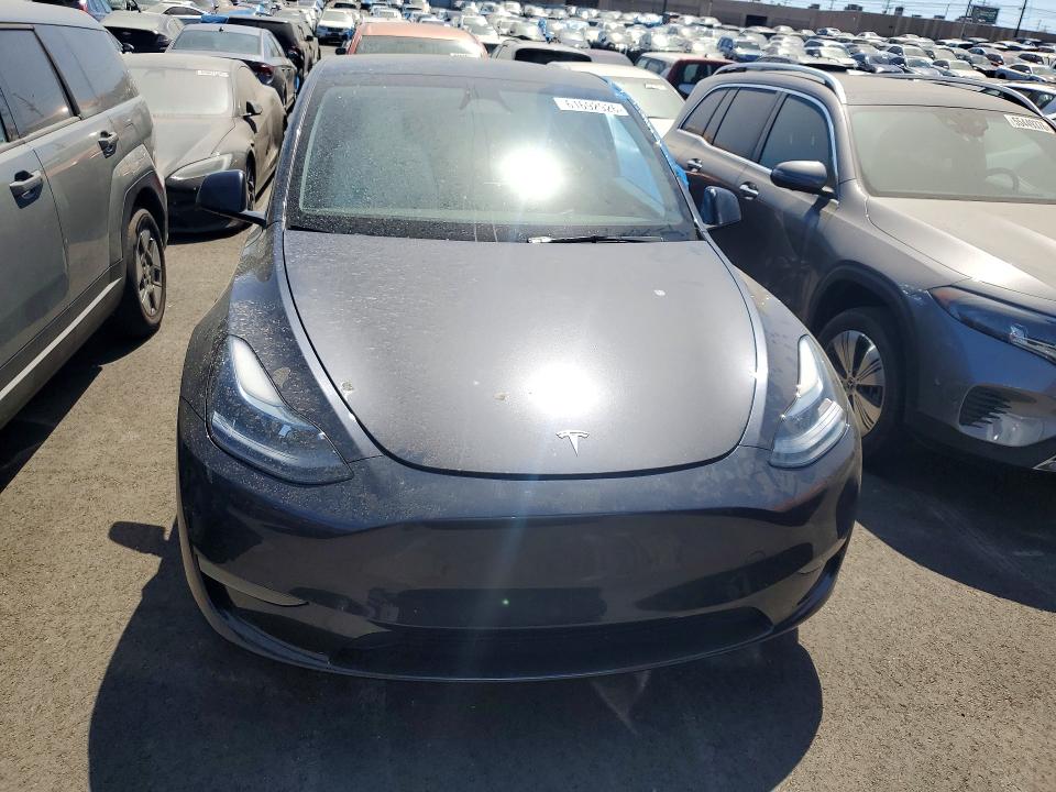 Aukcja sprzedaży 2025 Tesla Model Y, vin: 7SAYGDEF8SF307538, numer aukcji: 61692926