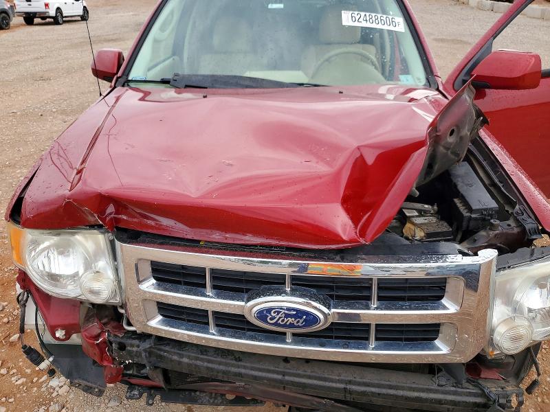 2010 Ford Escape მანქანა იყიდება აუქციონზე, vin: 1FMCU0EG7AKC25301, აუქციონის ნომერი: 62488606