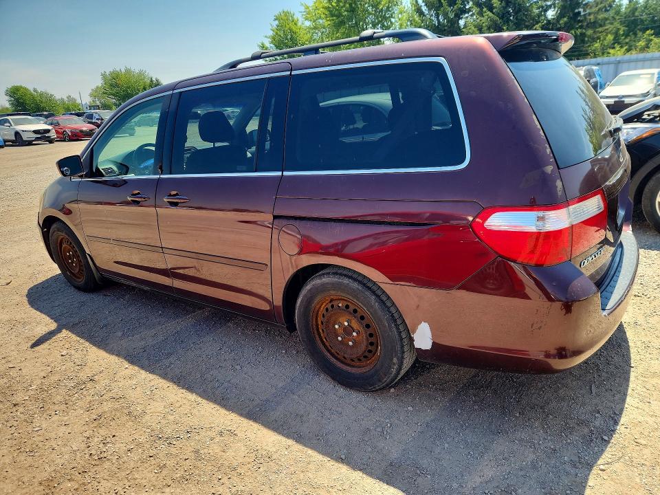 2007 Honda Odyssey მანქანა იყიდება აუქციონზე, vin: 5FNRL38497B503139, აუქციონის ნომერი: 60449736