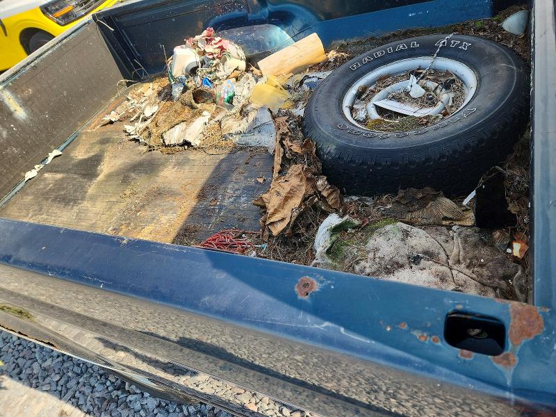 Продаж на аукціоні авто 1994 Ford F-150, vin: 1FTEF14N6RLA56343, номер лоту: 60677686