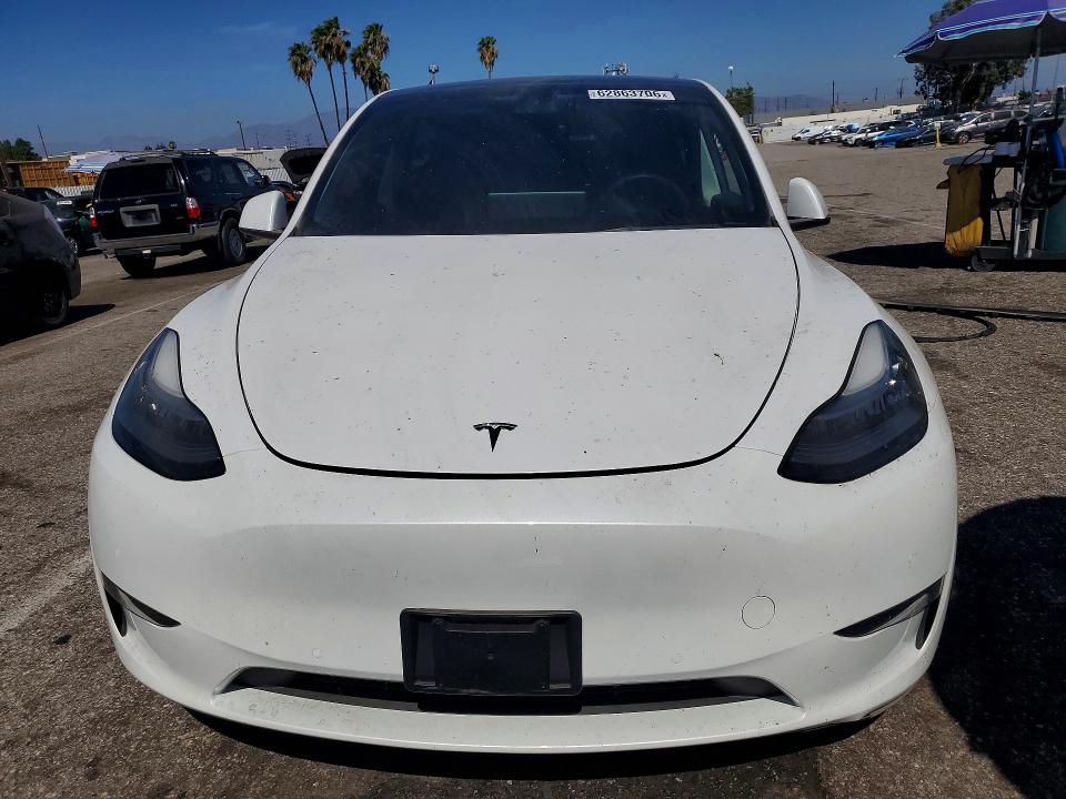 Продаж на аукціоні авто 2021 Tesla Model Y, vin: 5YJYGDEE7MF304640, номер лоту: 62863706