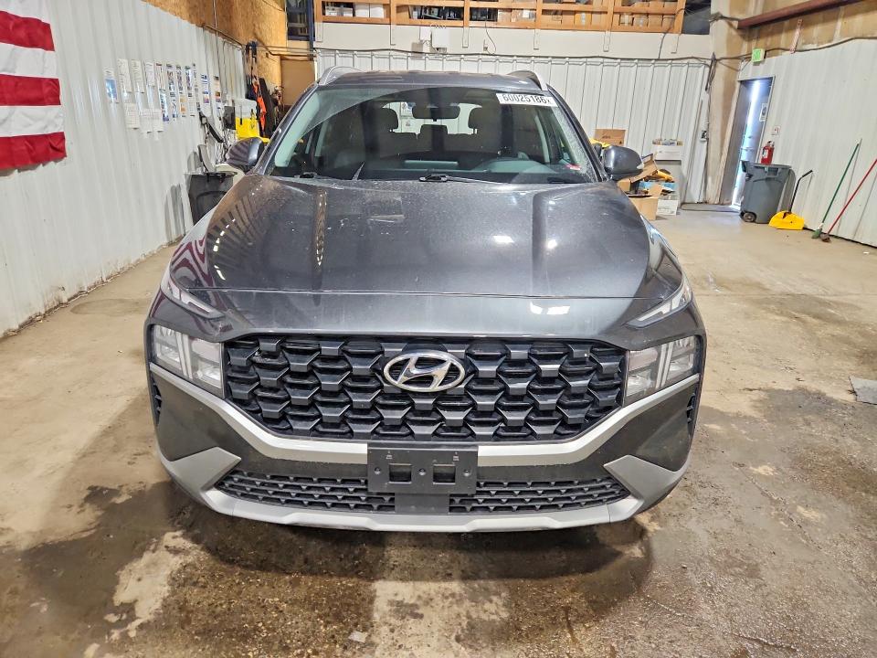 Продаж на аукціоні авто 2023 Hyundai Santa Fe, vin: 5NMS2DAJ4PH554430, номер лоту: 60025186