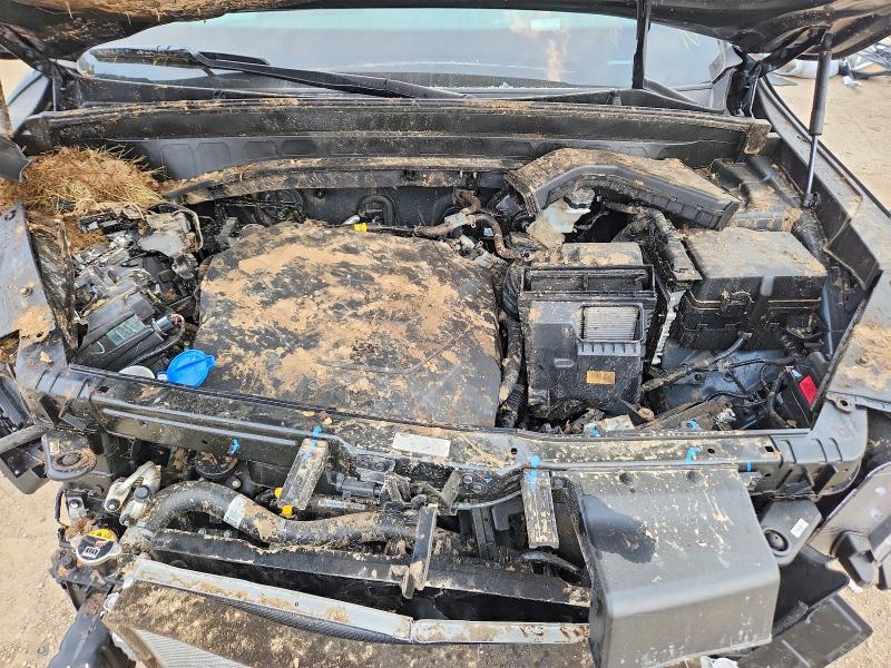 Продаж на аукціоні авто 2025 Kia Telluride, vin: 5XYP5DGC1SG658527, номер лоту: 59348826