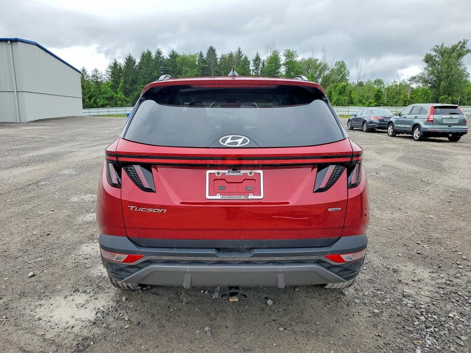 Продаж на аукціоні авто 2024 Hyundai Tucson, vin: 5NMJECDE1RH415483, номер лоту: 59780106