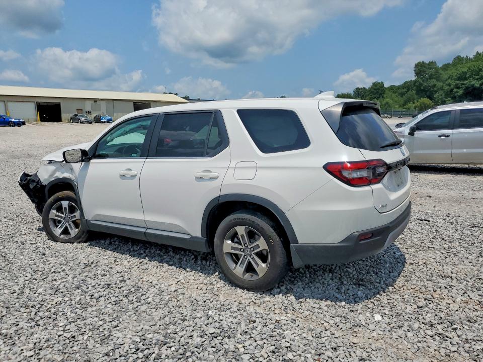 Продаж на аукціоні авто 2024 Honda Pilot, vin: 5FNYG1H48RB033449, номер лоту: 62488196