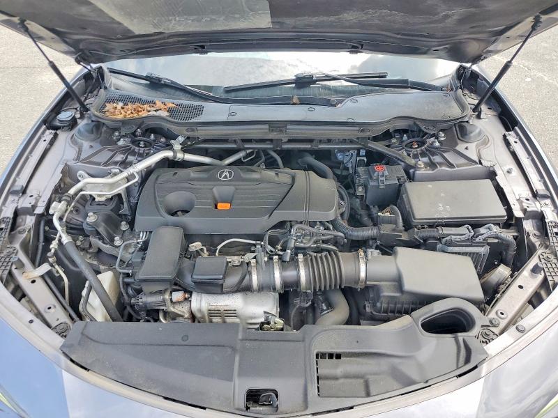 Продаж на аукціоні авто 2022 Acura Tlx, vin: 19UUB6F52NA002627, номер лоту: 63545776