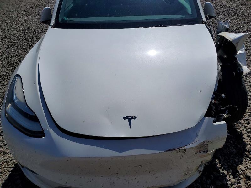 60811126 :رقم المزاد ، 5YJYGDEE4MF207119 vin ، 2021 Tesla Model Y مزاد بيع
