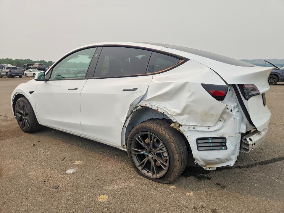 Aukcja sprzedaży 2024 Tesla Model Y, vin: 7SAYGDEE9RF185421, numer aukcji: 61174376
