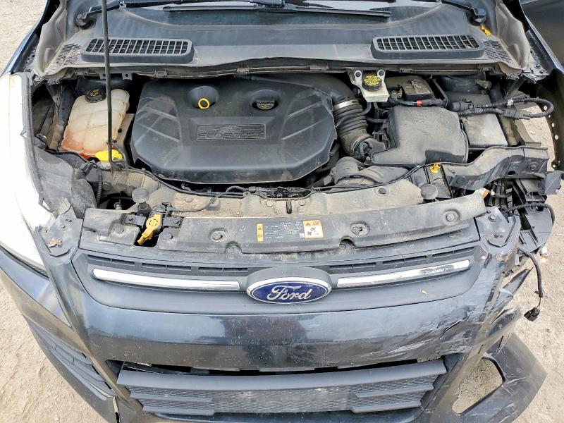 2014 Ford Escape მანქანა იყიდება აუქციონზე, vin: 1FMCU0G96EUB73782, აუქციონის ნომერი: 61158326
