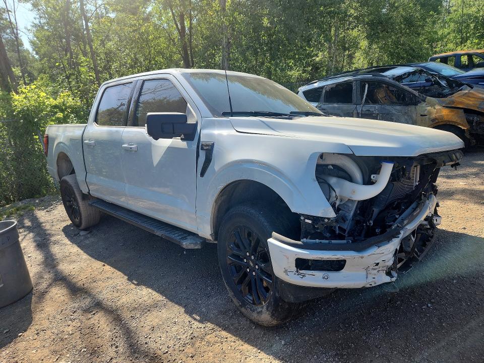 Продаж на аукціоні авто 2024 Ford F150, vin: 1FTEW3LP0RFB57553, номер лоту: 59002836