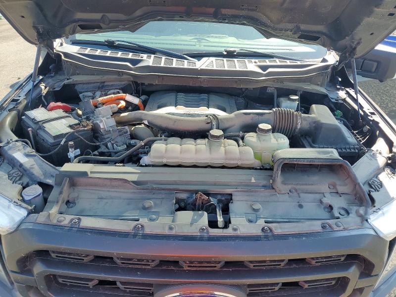 Aukcja sprzedaży 2021 Ford F150, vin: 1FTFW1ED6MFB43516, numer aukcji: 62990486