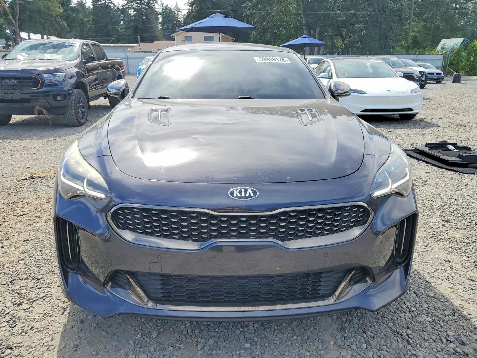 Продаж на аукціоні авто 2019 Kia Stinger, vin: KNAE35LC6K6046462, номер лоту: 59909136