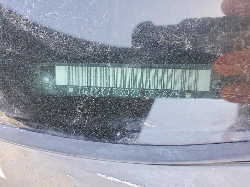 2002 Chevrolet Corvette მანქანა იყიდება აუქციონზე, vin: 1G1YY12S025125675, აუქციონის ნომერი: 63351296
