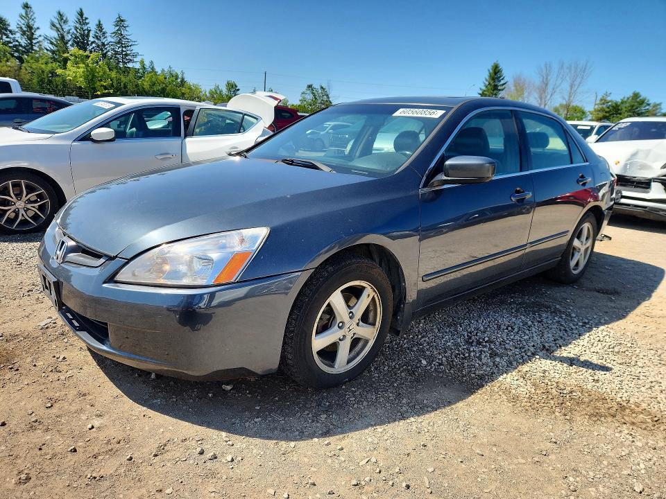 60560856 :رقم المزاد ، 1HGCM56645A807487 vin ، 2005 Honda Accord مزاد بيع