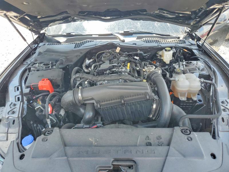 Продажа на аукционе авто 2025 Ford Mustang, vin: 1FA6P8TH7S5103286, номер лота: 59744866