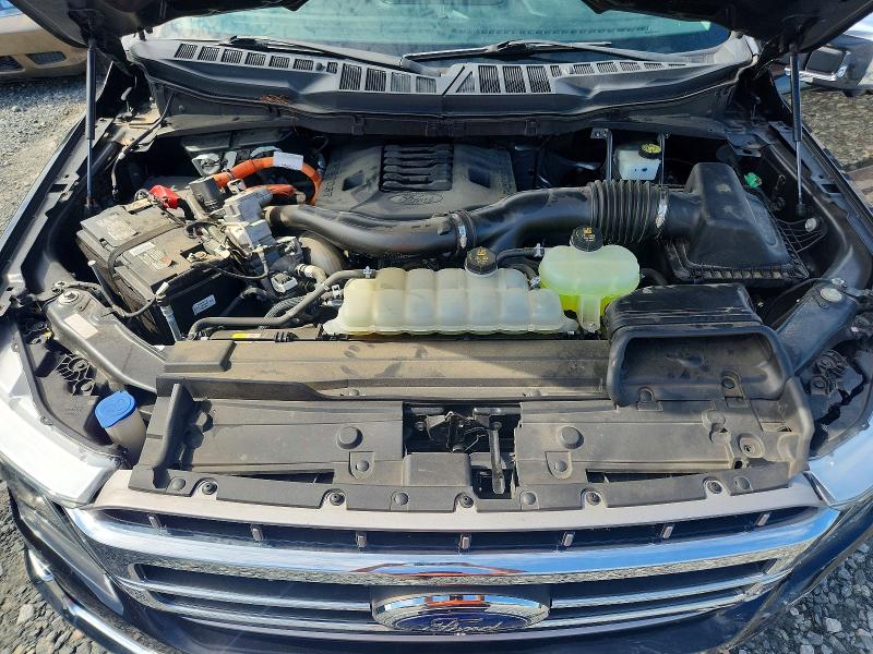 61248746 :رقم المزاد ، 1FTFW1ED9MFC98092 vin ، 2021 Ford F150 مزاد بيع