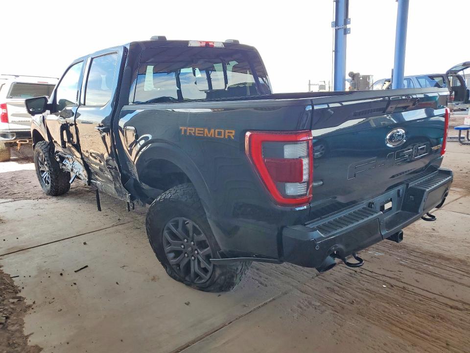 2023 Ford F150 მანქანა იყიდება აუქციონზე, vin: 1FTFW1E51PFA28609, აუქციონის ნომერი: 61668126