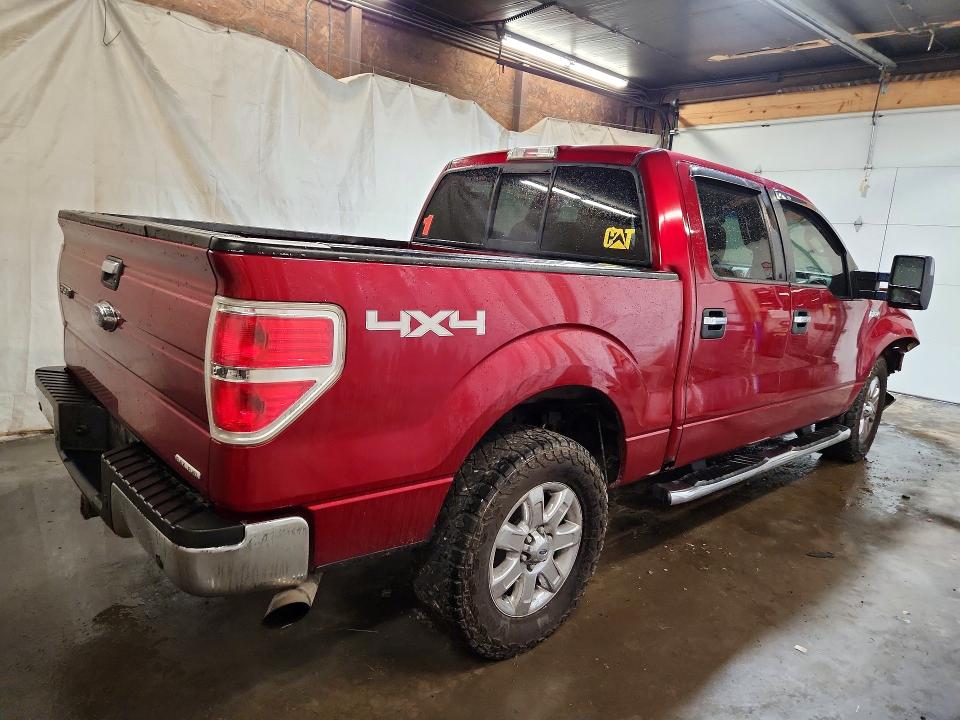 61503916 :رقم المزاد ، 1FTFW1EF0EFC64271 vin ، 2014 Ford F150 مزاد بيع